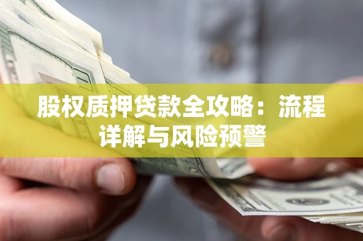 北京股权质押贷款全攻略：流程详解与风险预警