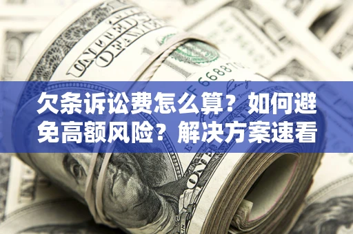 北京欠条诉讼费怎么算？如何避免高额风险？解决方案速看！