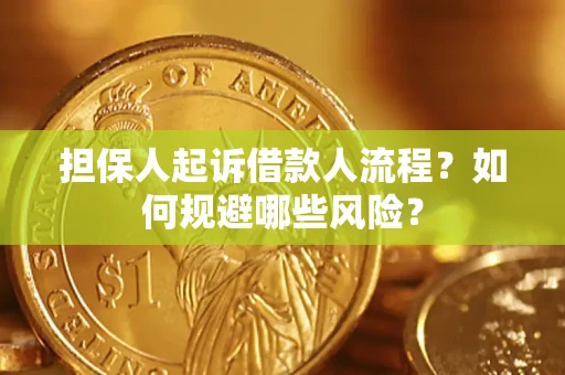 北京担保人起诉借款人流程？如何规避哪些风险？
