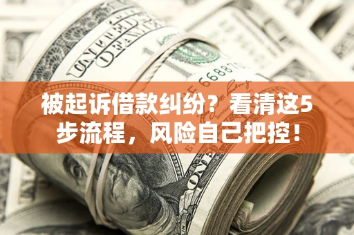 北京被起诉借款纠纷？看清这5步流程，风险自己把控！